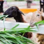 探索游戏世界的奥秘 - 爱游戏官方网站